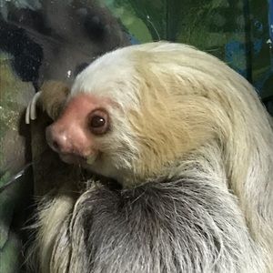 Meet your Posher, Barbara